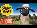 1 HOUR Compilation | Episodes 11-20 | Shaun the Sheep S2