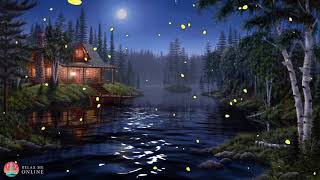 Night Ambient Sounds, Cricket, Swamp Sounds at Night, Sleep and Relaxation Meditation Sounds