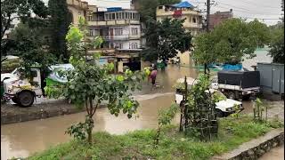 बिष्णुमति खोलाको यो रुप ! काठमाण्डौमा ५६ बर्ष पछिको ठुलो बर्षा १२ असोज ०८१ @Bishnumati khola