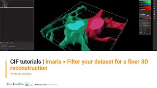 CIF Tutorials | Imaris : Filtering and resampling for better 3D reconstruction