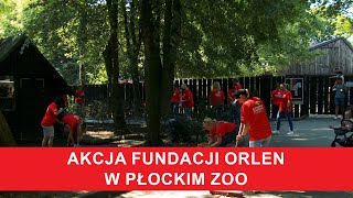 Akcja Fundacji ORLEN w płockim ZOO