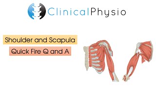 Quick Fire Q & A: Shoulder and Scapula | Clinical Physio