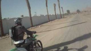 Nearly Killed by a Camel, desert Cam shaun