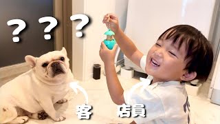 仲が悪い愛犬と3歳児のスタバごっこが面白すぎた。