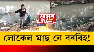 আপুনি লোকেল মাছ খাই ভাল পায় নেকি ? যদি লোকেল মাছ আপোনাৰ প্ৰিয়, এই প্ৰতিবেদন চাওক...