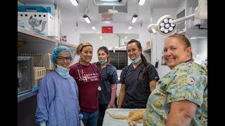 WCCC and Roice-Hurst Humane Society Team up | Colorado Mesa University