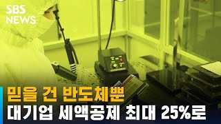 위기의 우리 반도체…대기업 투자 세액공제 최대 25%로 / SBS