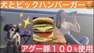 【ハンバーガー好き＆犬好きさんへ】晴れたおやすみの日の過ごし方のススメ。大満足本格ハンバーガー！