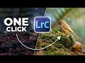 THIS One Tool Will Save You Hours In Lightroom