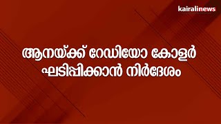 ആനയ്ക്ക് റേഡിയോ കോളർ ഘടിപ്പിക്കാൻ നിർദേശം | RADIO COLLAR | ARIKKOMBAN