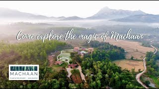 Machaan Plantation Resort at Sakleshpur - A Glimpse