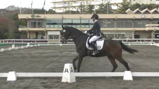 第88回全日本学生馬術選手権大会　2回戦馬場馬術競技　磯野太選手（日本大学）・温桜　貸与