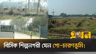 বরাদ্দ হয়নি বিসিকের অধিকাংশ প্লট | Bisic Commercial Area | Chuadanga News | Ekhon TV