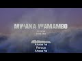 Jah Prayzah - Mwana WaMambo