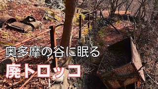 【廃墟 廃線】廃トロッコ【鉱山】東京 奥多摩 ドローン空撮