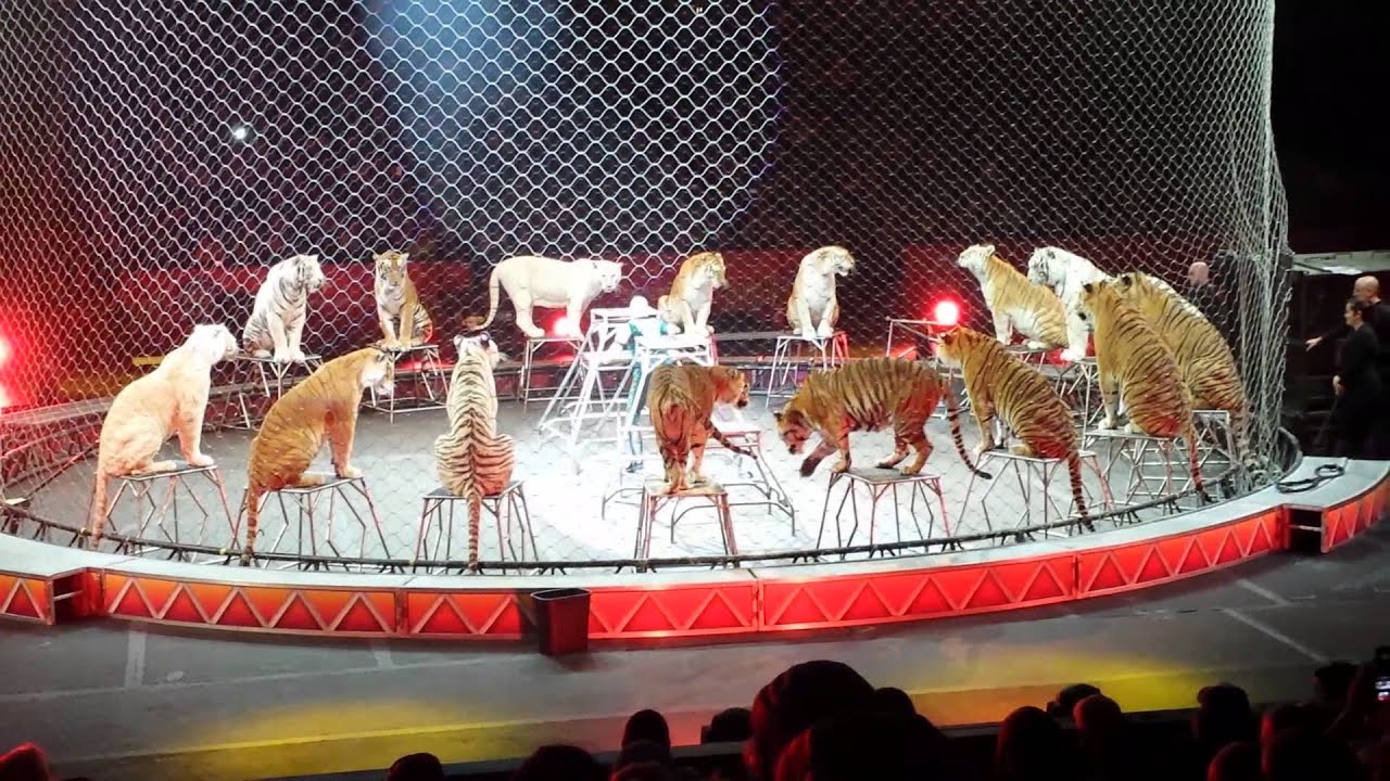 Ringling Brothers Circus - YouTube