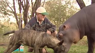 15 Personas Que Adoptaron Accidentalmente a Monstruos