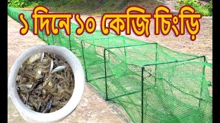 🚩একদিনে 10 কেজি চিংড়ি🤷‍♂️ চায়না জালের কেরামতি the total vllige