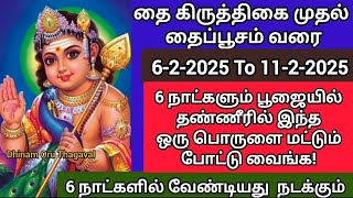 தைகிருத்திகை To தைப்பூசம்! 6 நாட்கள் தண்ணீரில் இந்தபூவை வைத்து வேண்டுங்க!வேண்டியது 6 நாளில் நடக்கும்