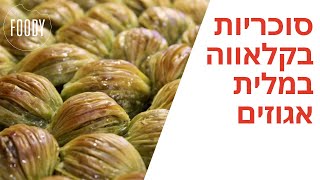 מתכון לסוכריות בקלאווה במלית אגוזים של קרין גורן - פודי