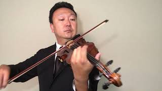 Landslide - Fleetwood Mac - William Yun Violin