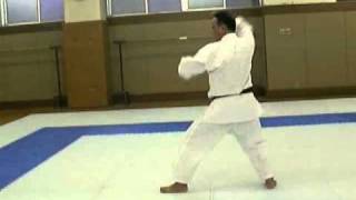 Israel Shotokan Eli Cohen   Gankaku   Side View   Slow