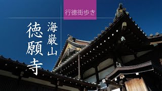 海巌山徳願寺　～行徳を代表するお寺を散策　ZV-E10～