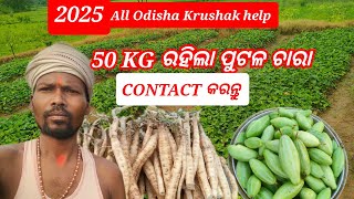 50 Kg ପୁଟଳ ଚାରା ରହିଲା Contact କରନ୍ତୁ #greenparibar