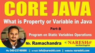 What is Property or Variable in Java Part 8 | Core Java Tutorial | Mr. Ramachandra