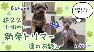 【トリマー】＃22 すぐに辞めた新卒トリマー達のお話し 【犬の美容】