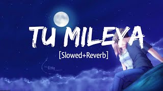 Tu Mileya - [Slowed+Reverb] Darshan Raval | Remake Artist  | Text Audio