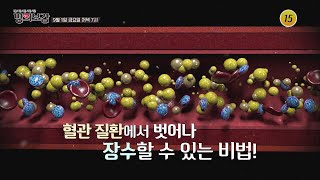 혈관 질환에서 벗어나 장수할 수 있는 비법!_메디컬다큐 명의보감 16회 예고 TV CHOSUN 230901 방송