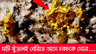 এখানে মাটির গায়ে গায়ে লেগে আছে চকচকে সোনা… খালি হাত দিয়েই সংগ্রহ করে হাজার হাজার মানুষ! Real KGF