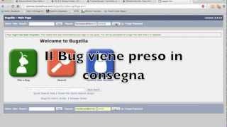 Life Cycle Testing - Unit Testing + BugZilla