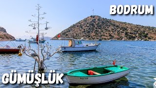 Bodrum Gümüşlük - Gümüşlük Walking Tour - Bodrum'un En Güzel Koyları - Gümüşlük Deniz Üstü Yürüyüş