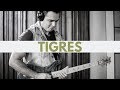 TIGRES - Mateus Starling plays Daniel Figueiredo #fusionguitar