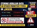 174. Storing boolean data into variable declared with other data types in Java (Selenium Java 2026)