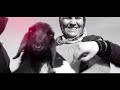 Vodafone Enterprise – Network and Innovation Story