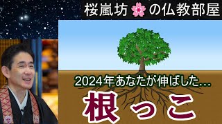 「２０２４年あなたが伸ばした…根っこ」桜嵐坊🌸の仏教部屋