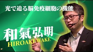 【脳科学の達人2017】和氣 弘明 “光で迫る脳免疫細胞の機能” 【第40回日本神経科学大会 市民公開講座】