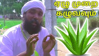 சோற்று கற்றாழை ஏழு முறை கழுவனும் || ALOE VERA WASH A 7 TIMES || SADHU JANAKIRAMAN || KAYAKALLPAM TV