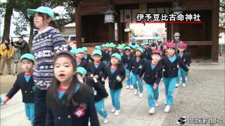 「椿まつり」前に園児が神社清掃・愛媛新聞