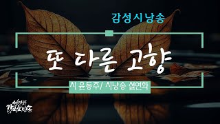 [감성시낭송] 또 다른 고향/ 시 윤동주 / 시낭송 설연화 / #좋은시 #유명시 #윤동주 #힐링시낭송 #편안한시낭송