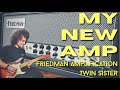 I Got A New Amp | Friedman Twin Sister