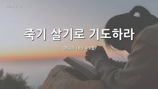 [한빛감리교회] 240721_주일1부예배_죽기 살기로 기도하라_역대하 18장 4-8절_백용현 담임목사