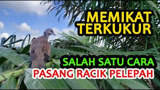 MEMIKAT TERKUKUR GUNA RACIK PELEPAH