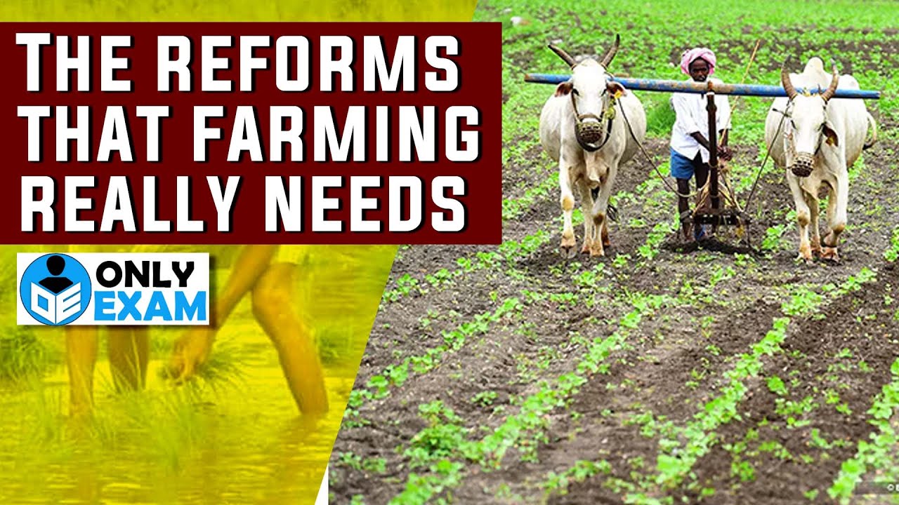 Agricultural Reforms In India | Agriculture Sector | Economy | UPSC ...