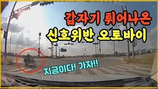 13484회. 내 신호에 출발했는데, 기회를 노리던 오토바이가 신호위반하며 갑자기 출발하다 사고!!