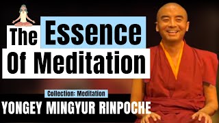 The Essence of Meditation for Beginners - Yongey Mingyur Rinpoche | LSE 2018 【C:Y.M.R Ep.2】