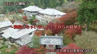 金剛輪寺　紅葉　空から満喫シリーズ！